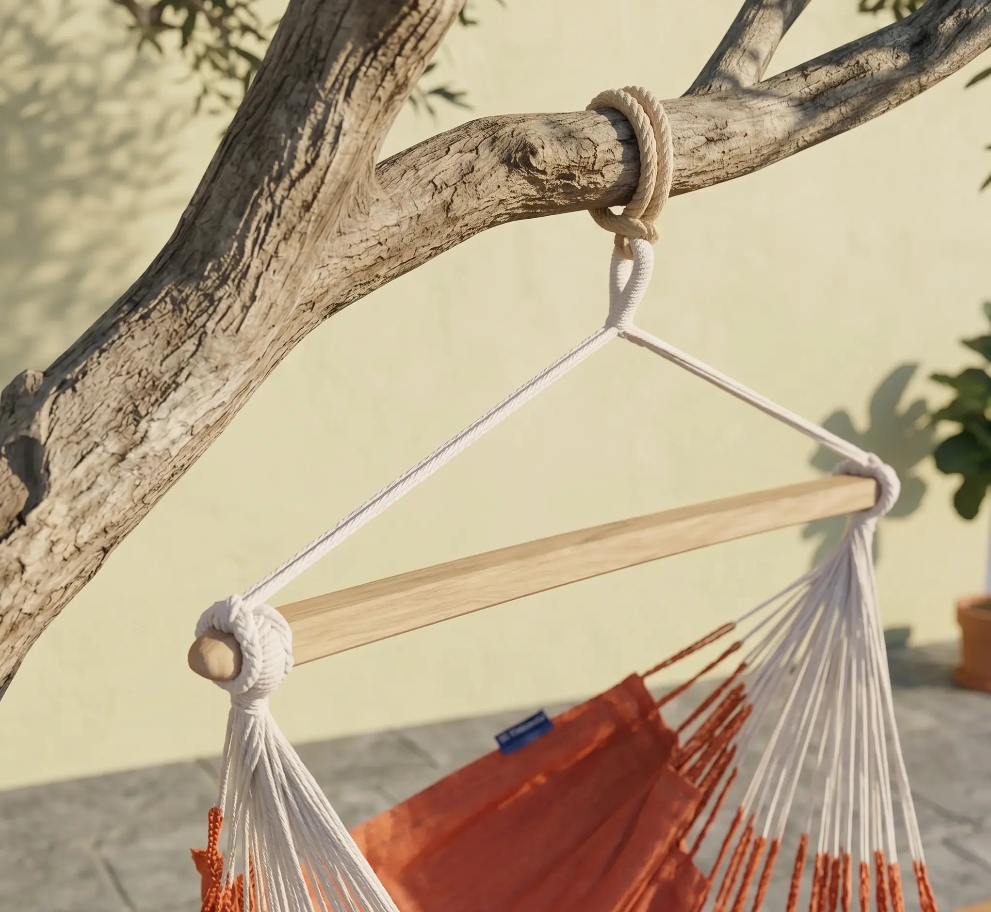 Détail d'une attache de chaise hamac avec une corde en coton beige enroulée solidement autour d'une branche d'arbre, soutenant une barre d'écartement en bois clair et une toile terracotta.