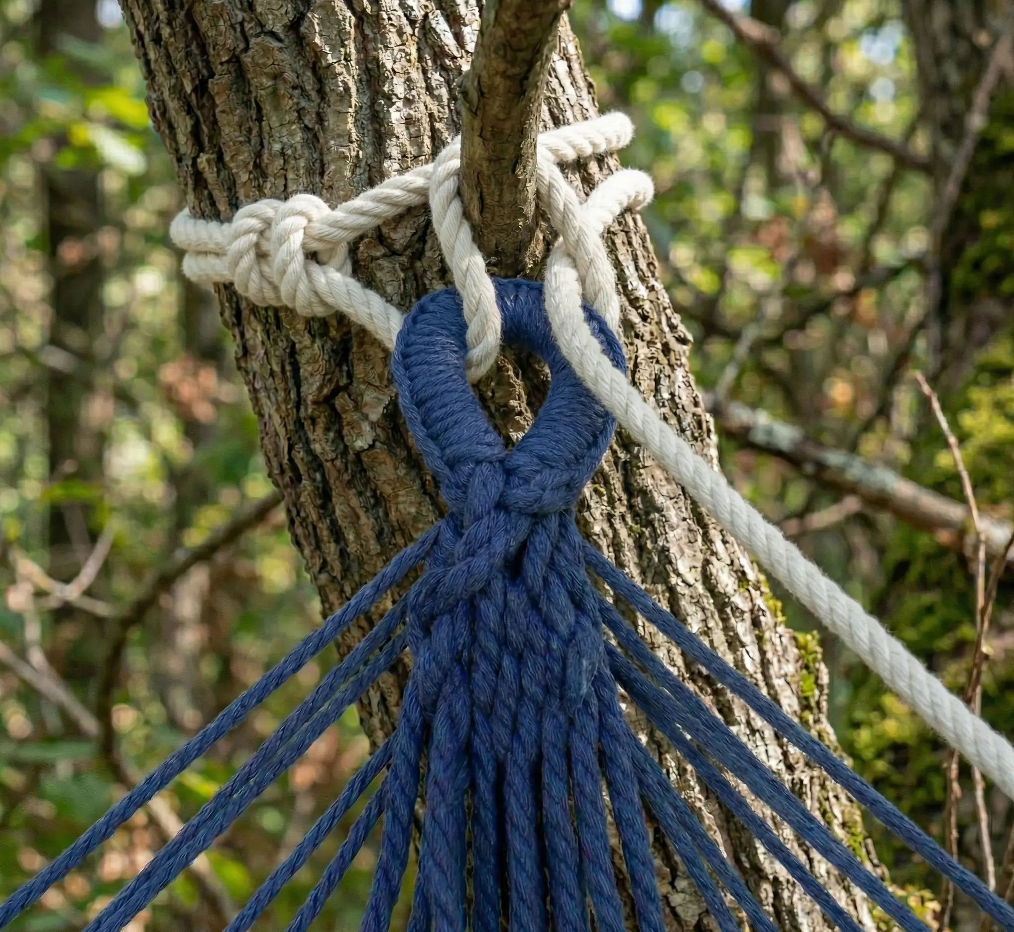 Détail du système de fixation d'un hamac avec boucle renforcée bleu marine et corde de suspension blanche nouée solidement autour d'un tronc d'arbre.
