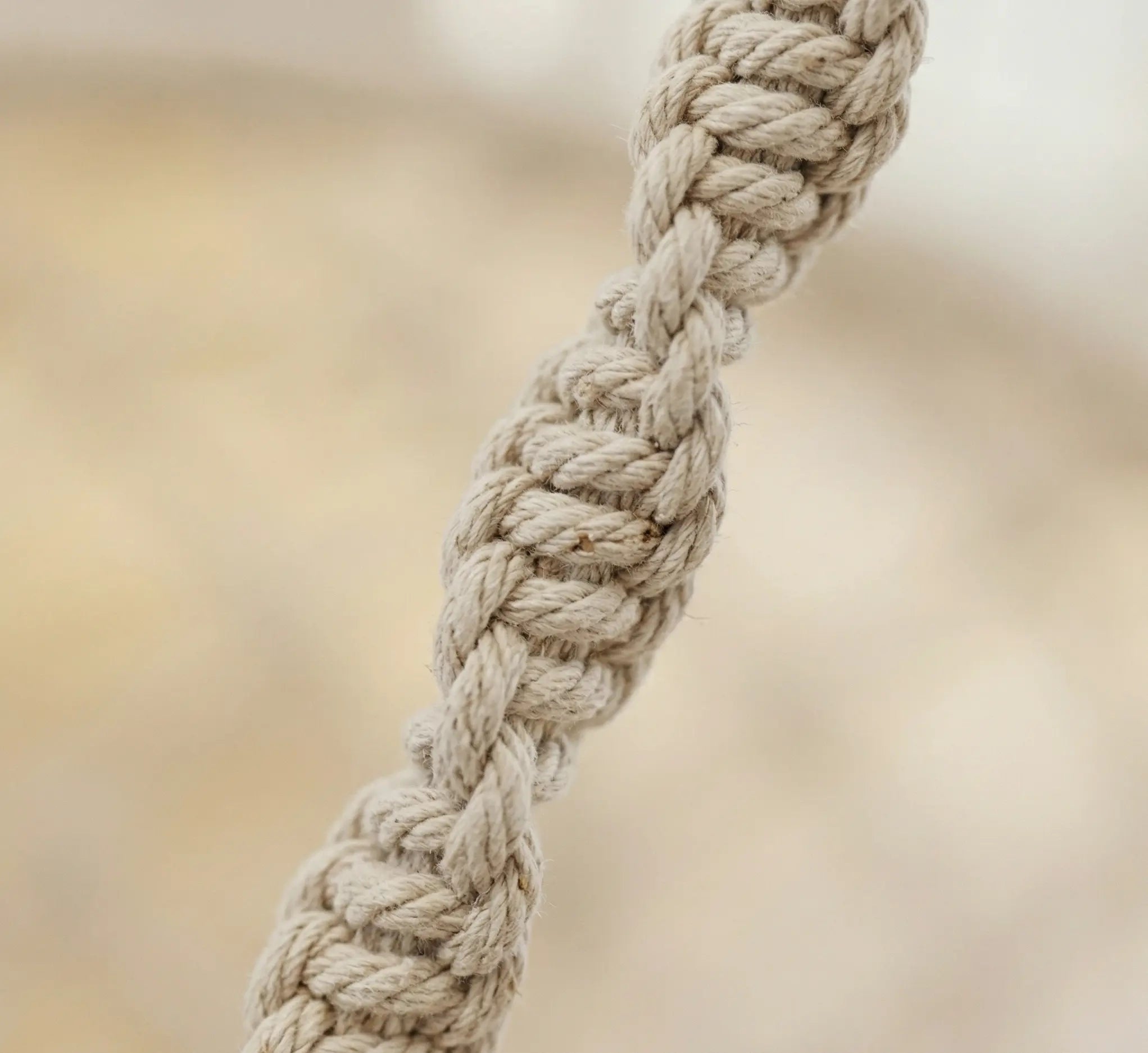 Gros plan macro sur une corde en coton beige tressé à la main pour fauteuil suspendu montrant la densité des fibres et la solidité de la suspension artisanale
